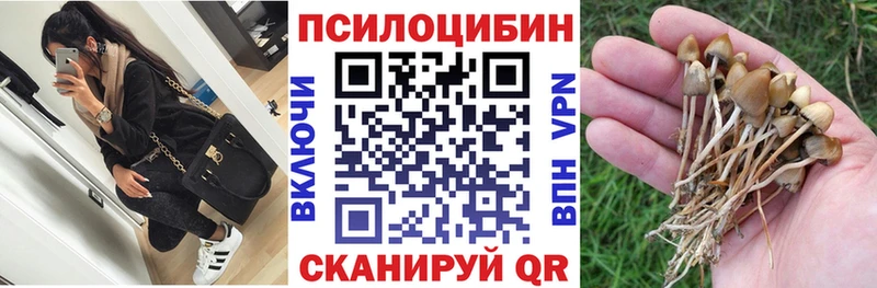 Псилоцибиновые грибы GOLDEN TEACHER  Купить закладки  Бодайбо 